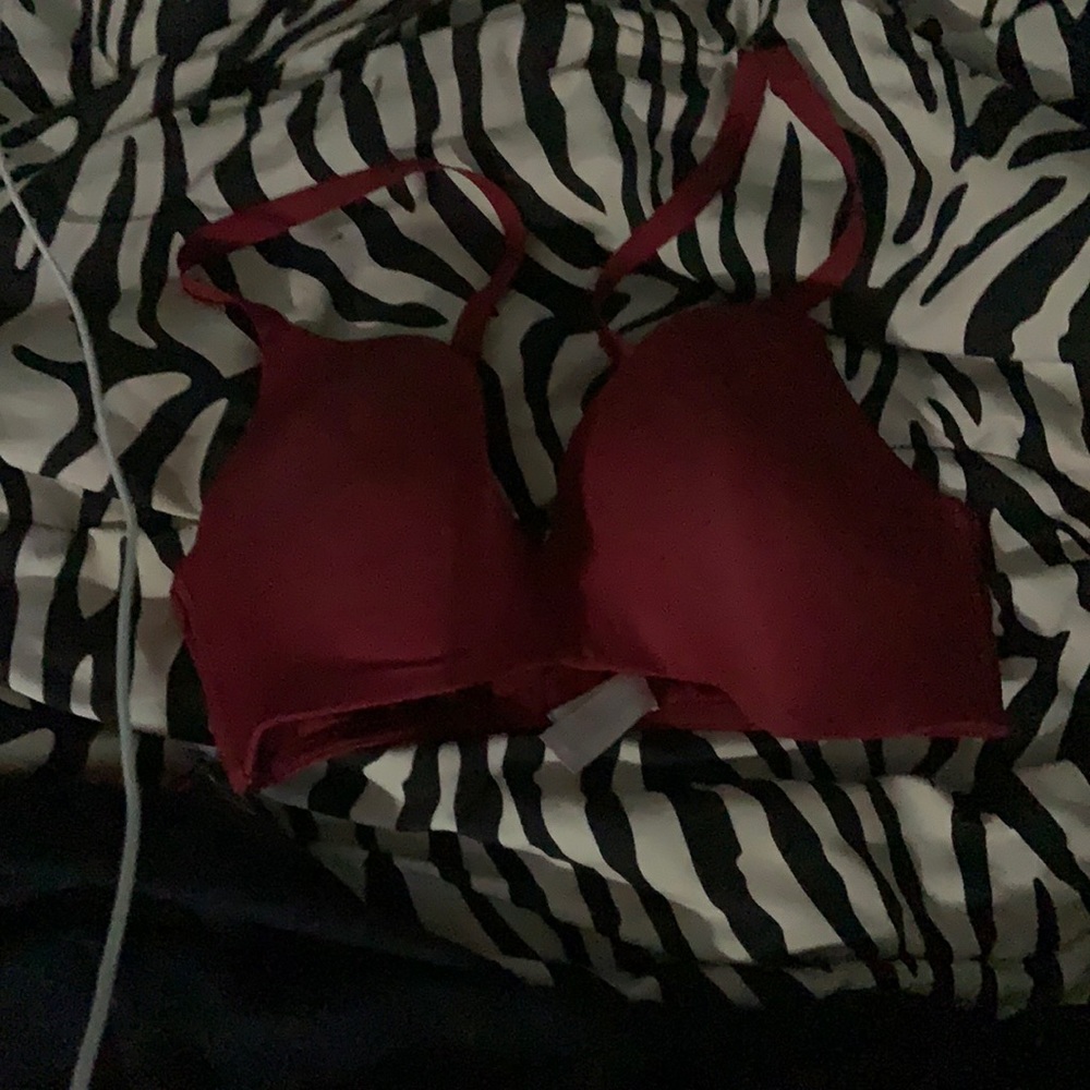 Secret Treasure Bra